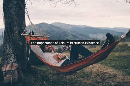 Leisure in Human Existence